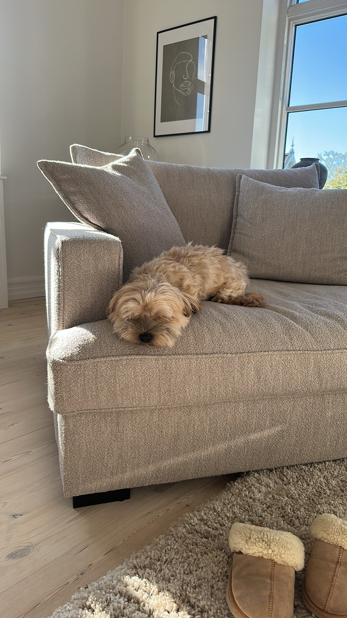 Lille sofa – sådan vælger du den rigtige til små rum